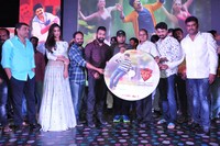 Kalyan Ram Sher Movie Audio Songs Release